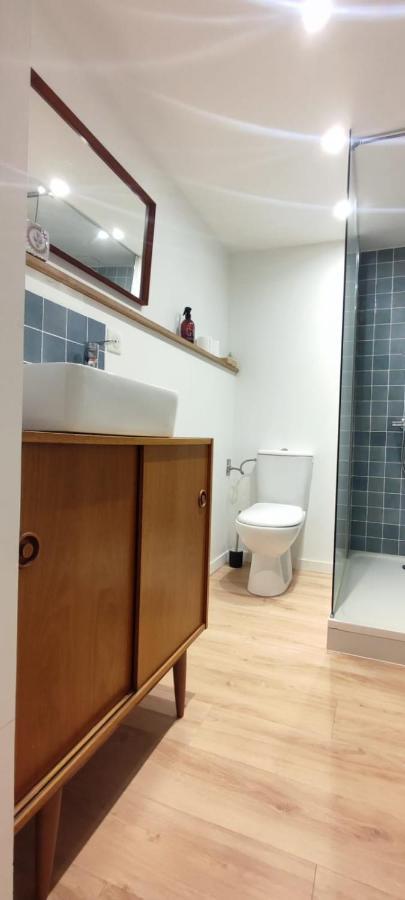 Magnifique Appartement Refait A Neuf Vieux Tours Dış mekan fotoğraf